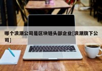 哪个浪潮公司是区块链头部企业[浪潮旗下公司]